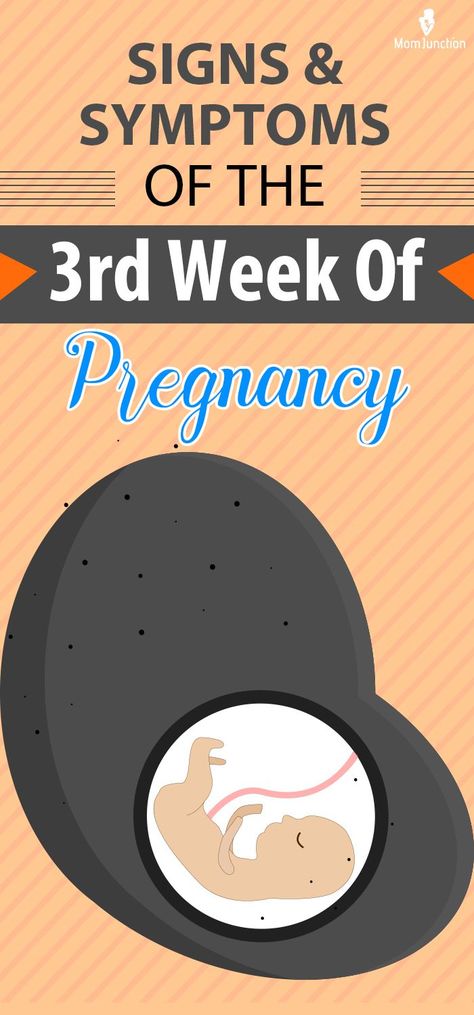 The 3rd-week pregnancy symptoms may seem faint or barely noticeable to some mothers. Despite that, it is one of the crucial phases of pregnancy. It is when the fetus begins to develop the neural tube, which leads to the formation of the nervous system eventually. Week 3 Pregnancy Symptoms, Stages Of Pregnancy Weekly, 3 Weeks Pregnant Symptoms, Three Weeks Pregnant, 3rd Month Pregnancy, Very Early Pregnancy Signs, Pregnancy Symptoms By Week, 3 Weeks Pregnant, 1 Week Pregnant