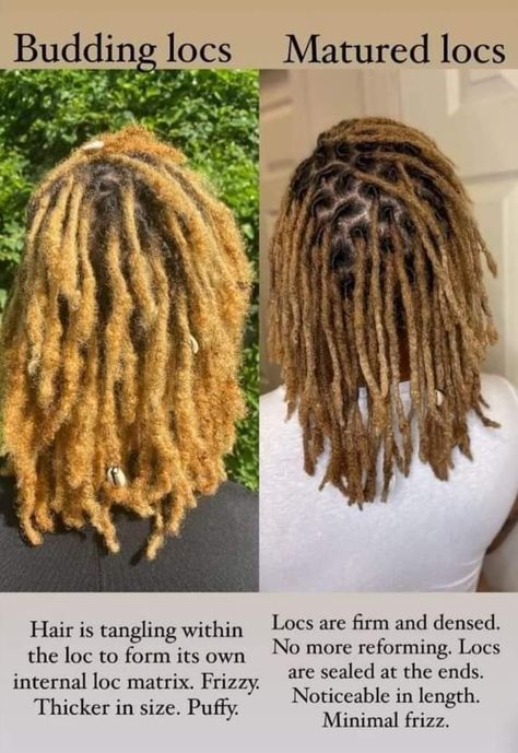 Hairstyles Dreadlocks, Dreadlocks Hair Care, Dreadlock Maintenance, Dreads Care, Short Locs, Sister Locs, Dreadlock Hairstyles For Men, Beautiful Dreadlocks, Short Locs Hairstyles