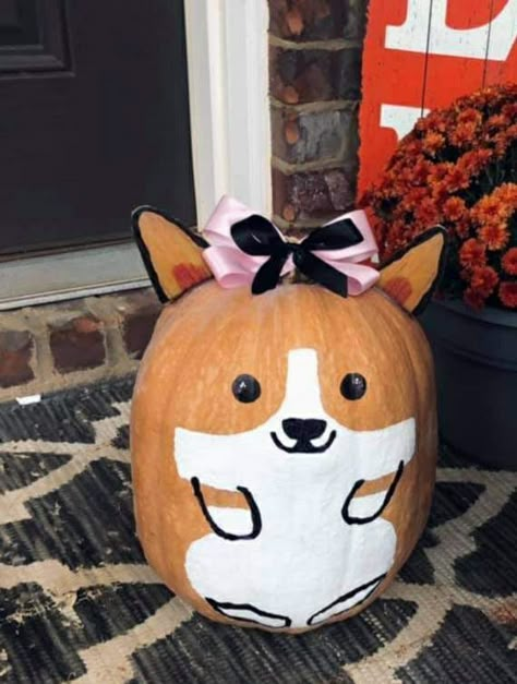 Halloween Playground, Corgi Pumpkin, Corgi Costume, Corgi Videos, Corgi Halloween, Halloween Pumpkin Crafts, Creative Pumpkin Painting, Cute Pumpkin Carving, Halloween Pumpkin Carving Stencils