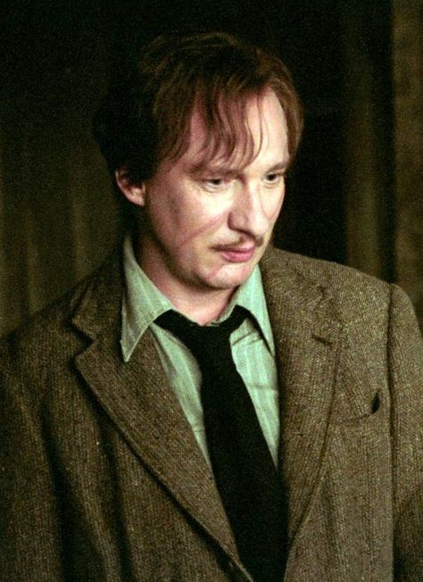 Remus Lupin by David Thewlis Remus Lupin Moony, Lupin Harry Potter, David Thewlis, Maurice Leblanc, Harry Potter Wiki, Nymphadora Tonks, Remus And Sirius, Vincent Cassel, All The Young Dudes