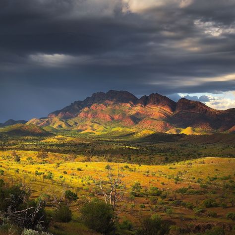 Amazing morning in the Flinders Ranges, south oz. . . . . . #southaustralia #seeaustralia #seesouthaustralia #australia #flindersranges… Australia Desert, Australia Landscape, Stars Light, Kangaroo Island, Outback Australia, Landscape Background, Drone Photos, Colorful Landscape, In A Hurry