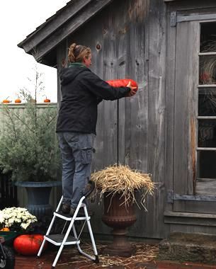 How to Build a Pumpkin Tower - FineGardening Pumpkin Tower, Deer Repellant, Halloween Garden, Fine Gardening, Rose Bush, Make It Happen, A Pumpkin, How To Build, Garden Ideas