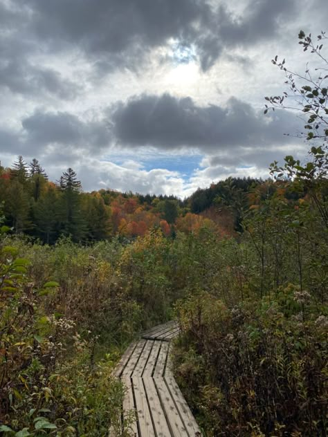 Northeast Aesthetic, Ontario Aesthetic, Northern England Aesthetic, Northeast Fall Aesthetic, University Of Vermont Aesthetic, Fall Aesthetic New England, Fall In New England Aesthetic, Vermont Hiking Fall, Vermont Forest