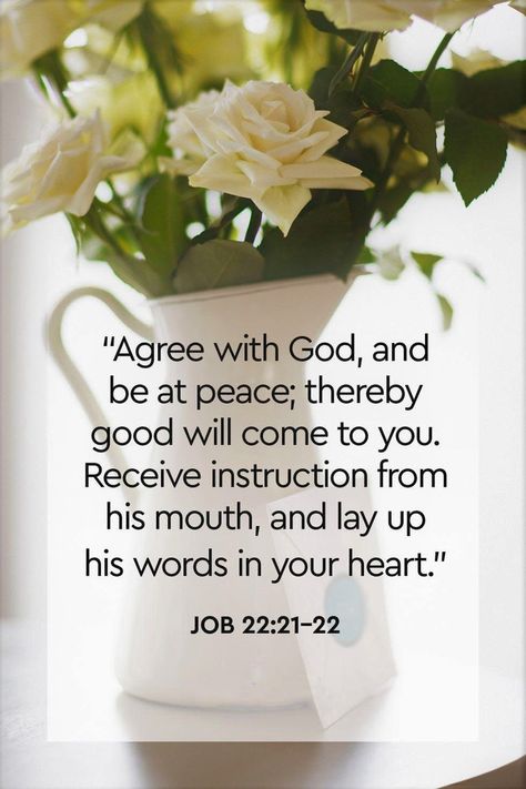 Bible Verses About Peace, Verses About Peace, Peace Bible Verse, Justified By Faith, Peace Scripture, Be At Peace, Peace Of God, Fear Of The Lord, Memory Verse