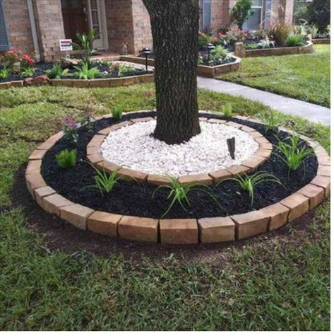 Front Lawn Landscaping, Landscaping Around Trees, Front Garden Landscape, Small Front Yard Landscaping, Candyland Christmas, Front Yard Garden Design, Candy Land Christmas Decorations, Diy Backyard Landscaping, Outdoor Gardens Design