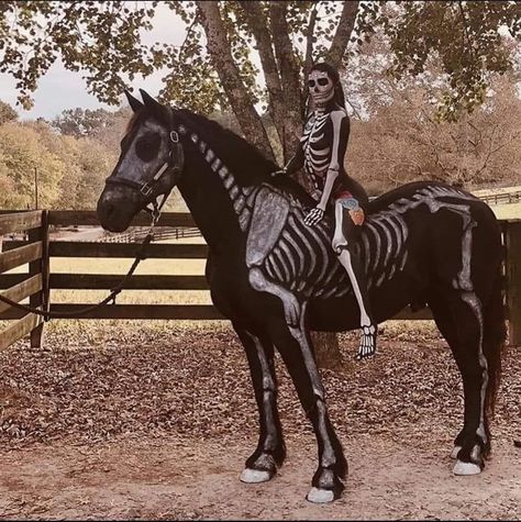 Tattoo Fe, Horse Halloween Costumes, Don Diablo, Horse Costumes, Halloween Contest, Painting Process, Horse Painting, Horse Rider, Pics Art