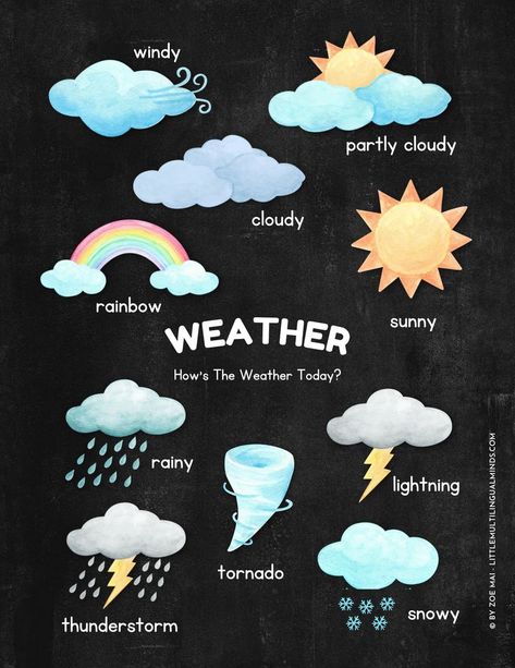 Weather Chart For Preschool, Weather Chart For Kids, Preschool Weather Chart, Chart For Preschool, Balanced Diet Chart, English Corner, Weather Chart, Chart For Kids, School Materials