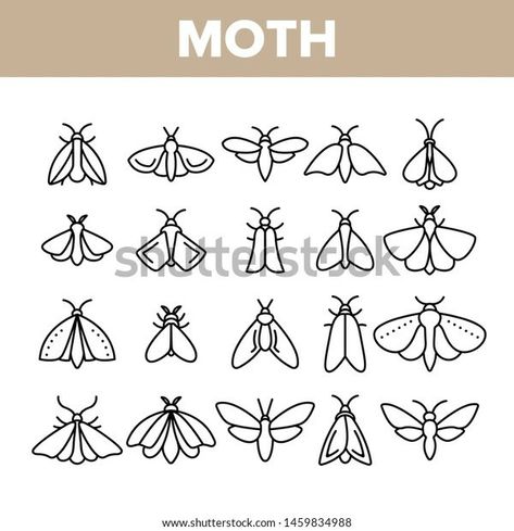 Moth Outline Tattoo, Moth Doodle, Moth Line Art, Sugar Tattoo, Moth Drawing, Moth Tattoo Design, Moth Species, Moth Illustration, Small Tats