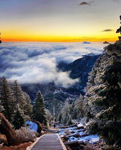 Epic views await at the top of the Incline! Have you made it to the top yet? • ��� Manitou Incline, Manitou Springs Colorado, Manitou Springs, Everest Base Camp Trek, Colorado Adventures, Pretty Landscapes, Colorado Usa, Spring Trip, Nature Adventure