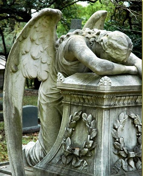 "It is possible that a miracle was not something that happened to you, but rather something that didn't."  (Jodi Picoult)     According to l... Cemetery Photos, Weeping Angels, Cemetery Angels, Cemetery Statues, Weeping Angel, Angel Statue, Angel Sculpture, Old Cemeteries, Cemetery Art