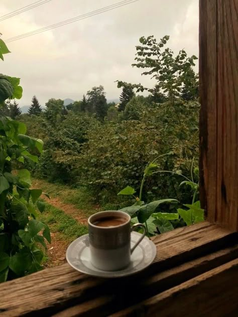 Forest Cafe, Happy Birthday Clip, Tea Farm, Farm Photography, Coffee Farm, Garden Coffee, Tea And Books, Dreamy Photography, Fall Travel