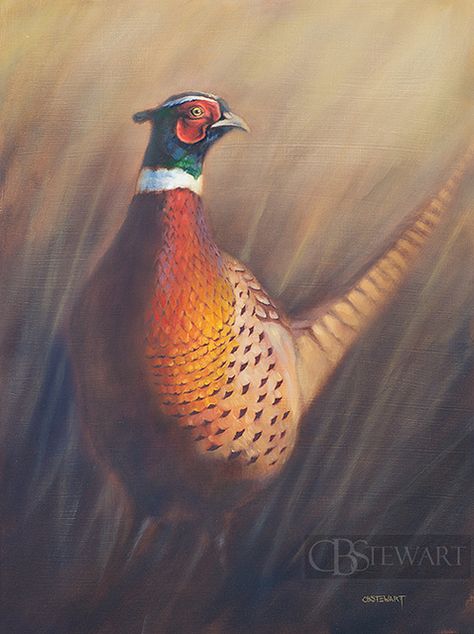 Just finished this one recently. Since fly fishing season is on hold for another couple of months, I thought I'd explore some hunting themes. I'm thinking I'll stick with it for a little while because this one was fun. I still have a lot I need to post. Oil on panel. 24x18". Prints available now, original available after drying and varnishing period. Follow me on Facebook! www.facebook.com/cbstewartfineart cbstewart.myshopify.com Pheasant Painting, Original Paintings For Sale, Wildlife Paintings, Pheasant, Wildlife Art, Birds Painting, Bird Art, Paintings For Sale, Original Oil Painting