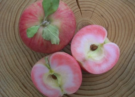 Apple Tree From Seed, Strange Fruit, Fall Garden Vegetables, Bad Apple, Pink Apple, An Apple A Day, Tree Seeds, Apple A Day, Exotic Fruit