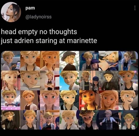 Miraculous Ladybug Adrinette, Miraculous Tweets, Miraculous Ladybug Oc, Miraculous Ladybug Memes, Miraculous Ladybug Fanfiction, Marinette And Adrien, Miraculous Ladybug Movie, Miraculous Ladybug Fan Art, Miraculous Ladybug Funny