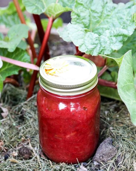 Simple Rhubarb Jam - Homemade Rhubarb Jam | The Food Blog Rhubarb Gin And Tonic, Strawberry Rhubarb Muffins, Jam Homemade, Blueberry Rhubarb, Rhubarb Jam Recipes, Rhubarb Gin, Rhubarb Muffins, Homemade Jams, Rhubarb Desserts