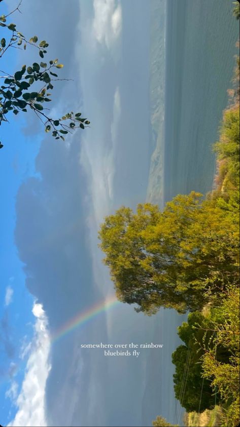 Rainbow Ig Story, Ig Story Ideas, Over The Rainbow, On The Ground, Story Ideas, Pretty Flowers, Ig Story, Blue Bird, Rainbow