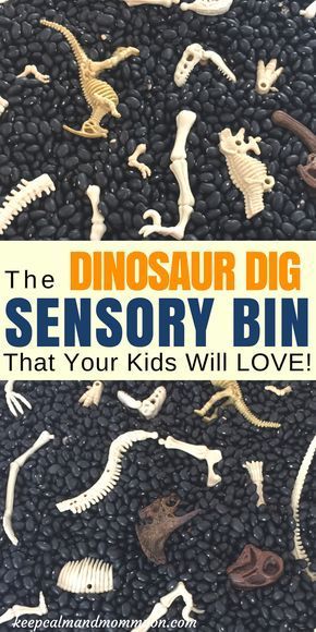 Dino Dig Sensory Bin, Diy Toddler Sensory Bins, Dinosaur Sensory Table, Science Sensory Bin, Dino Sensory Bin, Dinosaur Activities For Preschool, Dinosaur Activities For Toddlers, Preschool Dinosaur Activities, Dinosaur Sensory Bin