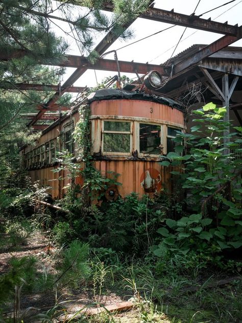 Nature Taking Over Buildings, Roadside Picnic, Post Apocalyptic World, Abandoned Train Station, Abandoned World, Reclaimed By Nature, Apocalyptic World, Abandoned City, Background References