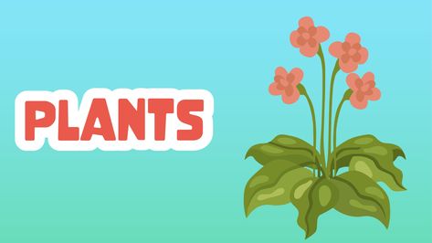 Plants Facts for Kids – 5 Cool Facts about Plants Facts About Plants, Parent Teacher Communication, Science Literacy, Health And Physical Education, Parental Guidance, Interview Skills, Inclusion Classroom, Career Exploration, Environmental Education