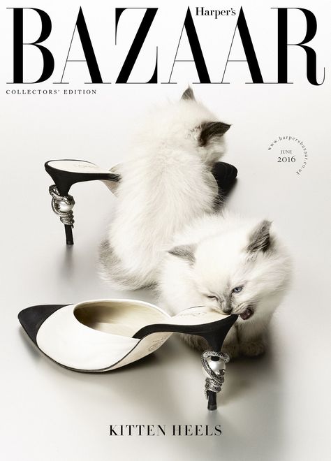 And finally…- HarpersBAZAARUK Bazaar Poster, Harper Bazaar, Harpers Bazaar Covers, Art Exhibition Posters, Popular Art, Portrait Sketches, Harper’s Bazaar, Harpers Bazaar, Exhibition Poster