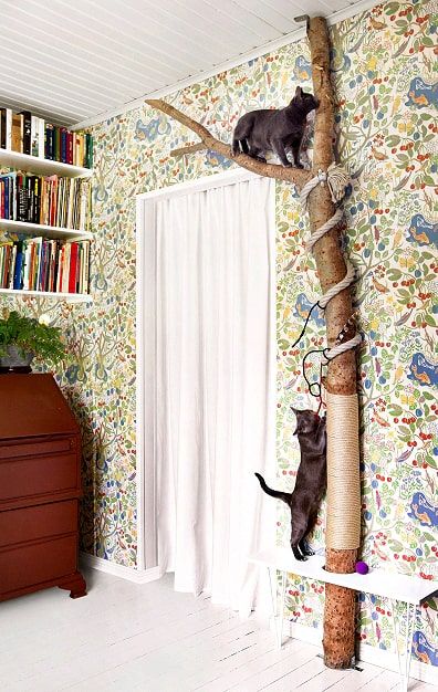 Diy Jouet Pour Chat, Katt Diy, Katt Grejer, Chat Diy, Kat Diy, Koti Diy, Cool Cat Toys, Diy Cat Tree, Cat House Diy