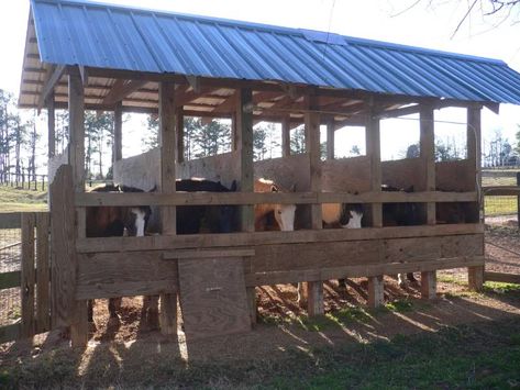 -Pasture Horse Feeding Station Horse Tie Stalls, Equine Facility Design, Stable Hacks, Horse Feeding, Hay Feeder For Horses, Horse Feeder, Horse Tack Rooms, Barn Layout, Horse Farm Ideas