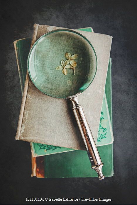 ©️ Isabelle Lafrance / Trevillion Images MAGNIFYING GLASS ON OLD BOOKS Old Magnifying Glass Vintage, Vintage Magnifying Glass Aesthetic, Magnifying Glass Photography, Trevillion Images, School Sketch, Glass Photography, Perspective Photography, Log House, Unfortunate Events