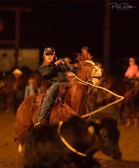 Pbr Bull Riders, Calf Roping, Horse Riding Quotes, Bronc Riding, Rodeo Time, Western Photography, Barrel Racing Horses, Rodeo Horses, Rodeo Life