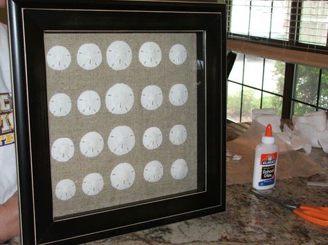 Sand Dollar Shadow Box Ideas, Painting Sea Shells, Sand Dollar Decor, Shell Displays, Vacation Crafts, Sand Dollar Craft, Beach Projects, Sand Dollar Art, Seashell Display