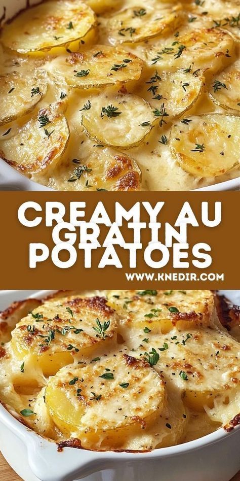 Thanksgiving Potato Recipes Side Dishes, Easy Thanksgiving Potato Recipes, Best Side Recipes, Scalloped Potatoes Au Gratin Recipes, El Gratin Potatoes, Cheesy Potato Au Gratin, Potato Cream Cheese Recipes, Great Potato Recipes, Potato Thanksgiving Side Dish