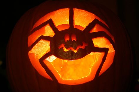 Pumpkin Inspiration, Spider Pumpkin, Pumkin Carving, Halloween Pumpkin Carving Stencils, Easy Pumpkin Carving, Amazing Pumpkin Carving, Halloween Pumpkin Designs, Lantern Ideas, Pumpkin Carvings Stencils