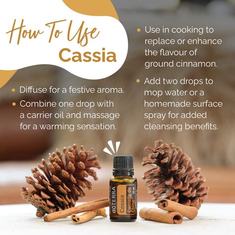 Cassia is a great oil for the winter months because of its warm, cinnamon-like aroma. Here are some ways you can use this oil in your own home. Give it a try and tell me what you think! Cassia Essential Oil, Spa Time, Essential Oil Diffuser Blends Recipes, Cinnamon Essential Oil, Ceylon Cinnamon, Essential Oil Diffuser Blends, Oil Diffuser Blends, Oil Uses, Essential Oil Uses