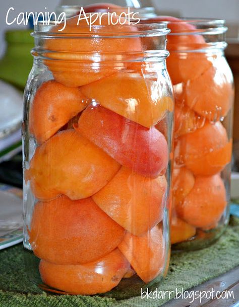 Canning Apricots, Pickled Items, Canning Fruit Recipes, Canning Pressure Cooker, Canning Granny, Pressure Canning Recipes, Apricot Recipes, Canning Fruit, Canned Fruits