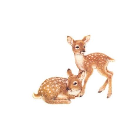 Fawn Tattoo, Art Mignon, Deer Art, Baby Deer, Woodland Creatures, Wildlife Art, 귀여운 동물, Woodland Animals, Spirit Animal