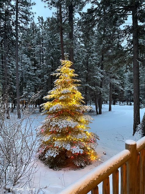 Meet Us In Montana Montana Christmas, Visit Montana, Spooky October, Lodge Look, My Rock, Luxury Cabin, Happy Trails, Large Shower, Champagne Bottles