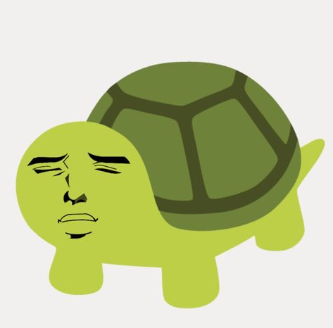 Turtle Profile Pictures, Turtle Meme, Turtles, Memes, Quick Saves