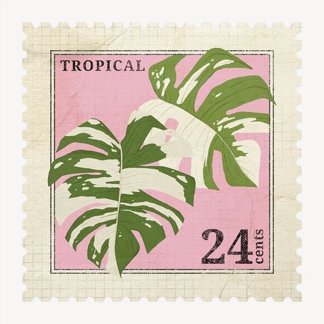 Aesthetic monstera leaf, ephemera postage stamp design | premium image by rawpixel.com / Tang Stamps Aesthetic, Monstera Aesthetic, Monstera Illustration, Tropical Illustration, Postage Stamp Design, Pixel Image, Monstera Leaf, Vintage Aesthetic, Scrapbook Stickers