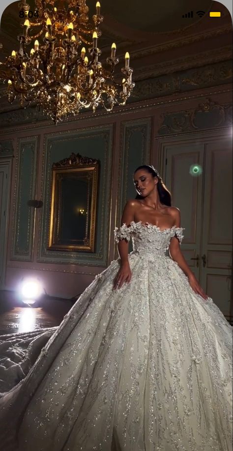 Disney Fairytale Wedding Dress, Dress In Fall, Albina Dyla, Fairytale Bridal, Big Wedding Dresses, Elegant Bridal Gown, Dream Wedding Decorations, Fairy Tale Wedding Dress, Royal Wedding Dress