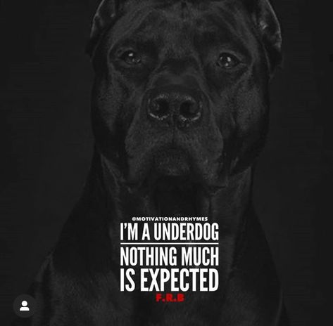 Being The Underdog Quotes, Underdog Quotes Motivation, The Underdog Quotes, Underdog Quotes, Appreciate Life, Motivational Inspirational Quotes, The Underdogs, Lets Get Started, Financial Health