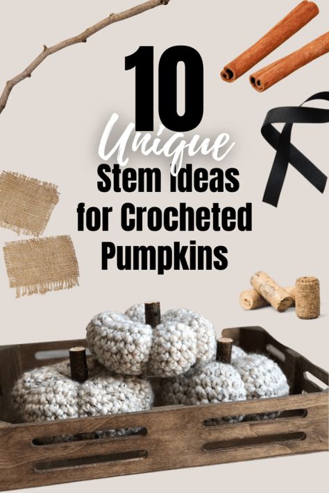 Aesthetic Crochet Ideas, Crochet Ideas For Beginners, Crocheted Pumpkins, Crochet Pumpkins, Stem Ideas, Crochet Cardigans, Modern Crochet Patterns, Quick Crochet Patterns, Creative Pumpkins