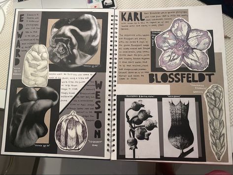 Concealment Art Gcse Title Page, Gcse Ideas Page, Gcse Art Page Layout Ideas, Art Book Page Ideas, Art Analysis Sketchbook, Logbook Ideas Design, Art Sketchbook Backgrounds Ideas, Final Design Page Sketchbook Ideas, Gcse Architecture Sketchbook