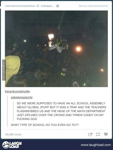 What kind of school is that? Sounds fun! Tumblr School, Funny Tumblr Stories, Tumblr Stories, Funny Tumblr, Funny School, Funny Tumblr Posts, School Humor, What’s Going On, Funny Stories