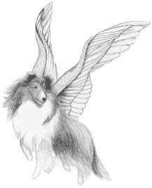 Angel - yep I have 4 of these Dog Angel Tattoo, Angel Dog Tattoo, Angel Puppy Tattoo, Dog Angel Drawing, Dog Angel Wings, Dog Angel, Sheltie Dogs, Huge Dogs, Collie Puppies