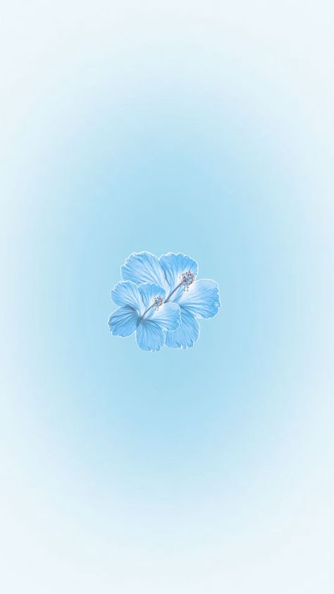 Blue Hibiscus Aura Wallpaper Hibiscus Flower Wallpaper Aesthetic, Turtle Wallpaper, Iphone Wallpaper Preppy, Blue Flower Wallpaper, Aura Wallpaper, Wallpapers Ipad, Aqua Wallpaper, Cute Blue Wallpaper, Blue Hibiscus