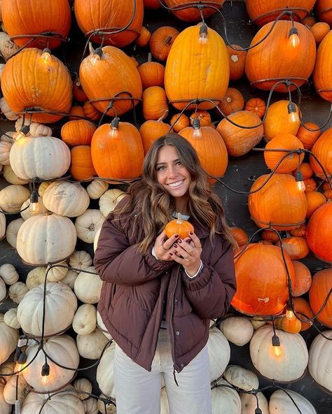 All Posts • Instagram Outfits For Pumpkin Patch, Fall Pictures With Pumpkins, Halle Sandberg, Pumpkin Patch Photography, Fall Szn, Pumpkin Patch Photoshoot, Pumpkin Patch Pictures, Fall Pics, Farm Pictures