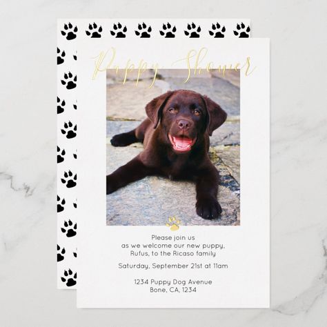 Puppy Shower Cute Personalized Dog Adoption Foil Invitation - new pet cards Dog Adoption Announcement, Dog Paw Pattern, Dog Baby Shower, Adoption Announcement, Paw Pattern, Foil Invitations, Personalized Dog, Fathers Day Cards, Photo Template