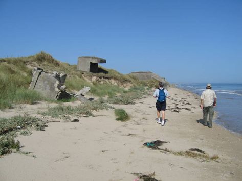 Utah Beach Normandy, Utah Beach, 4th Infantry Division, Farm Fields, New Covenant, D Day Landings, Hiking Routes, Nature Preserve, The Dunes