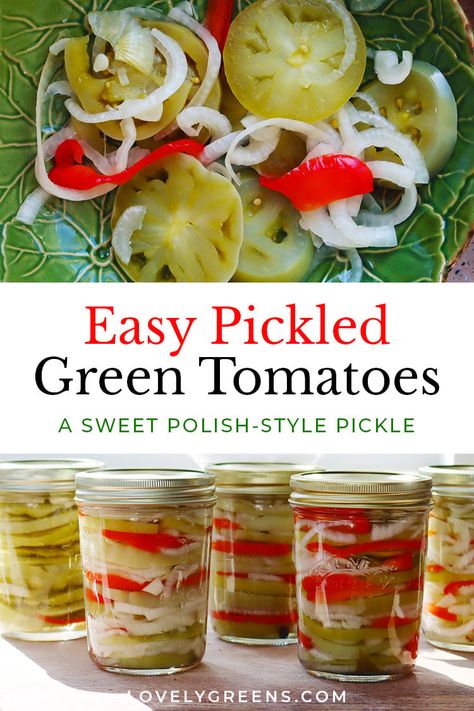 A sweet green tomato pickle flavored with whole allspice berries, onions, and bay leaves. Make this at the end of the growing season with any fruit that hasn't ripened yet and enjoy it all winter as a delicious vegetable side dish. Pickled Green Tomatoes Recipe, Homegrown Recipes, Tomato Pickle Recipe, Pickled Green Tomatoes, Pickled Tomatoes, Lovely Greens, Preserving Recipes, Green Tomato Recipes, Tomato Recipe