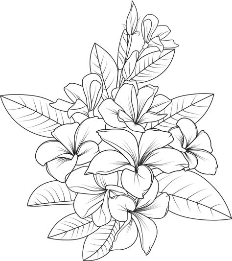 Frangipani Drawing, Frangipani Tattoo, Flower Sketch Pencil, Geometric Tattoo Hand, Tropical Flower Tattoos, White Background Floral, Tree Frog Tattoos, Vector Cityscape, Frangipani Flower