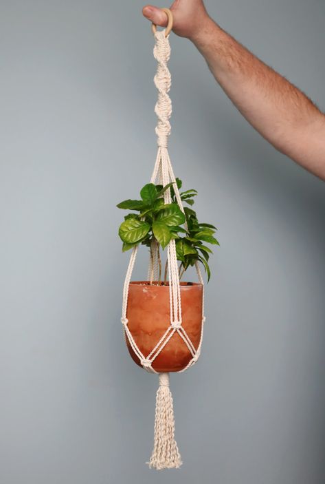 2 Tier Macrame Plant Hanger Diy, Modern Plant Hangers Indoor, Macrame Plant Hanger Small Pot, Flower Pot Macrame, No Ring Macrame Plant Hanger, How To Tie A Plant Hanger, Macrame Pot Plant Hanger, Double Macrame Plant Hanger Pattern, Macrame Spiral Plant Hanger